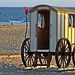 Nordseekrabbe